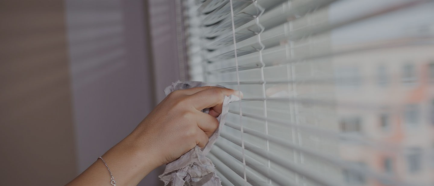 Expert Window Cleaning